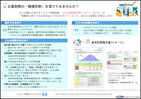 企業様向けMcSS紹介チラシ